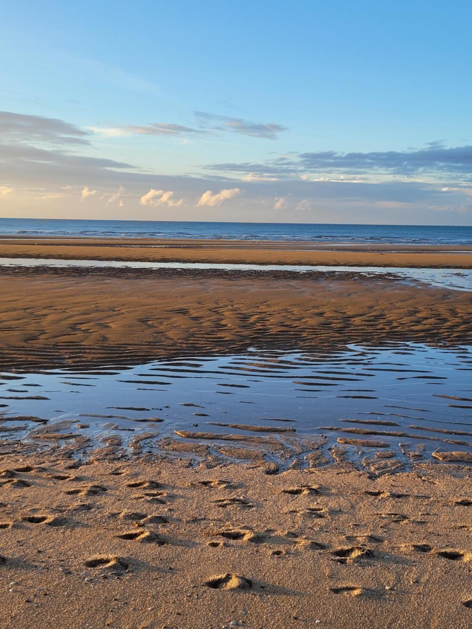 "Mon Evidence!" Magnifique Appartement Vue Mer Et Acces Direct A La Plage Villers-sur-Mer Kültér fotó
